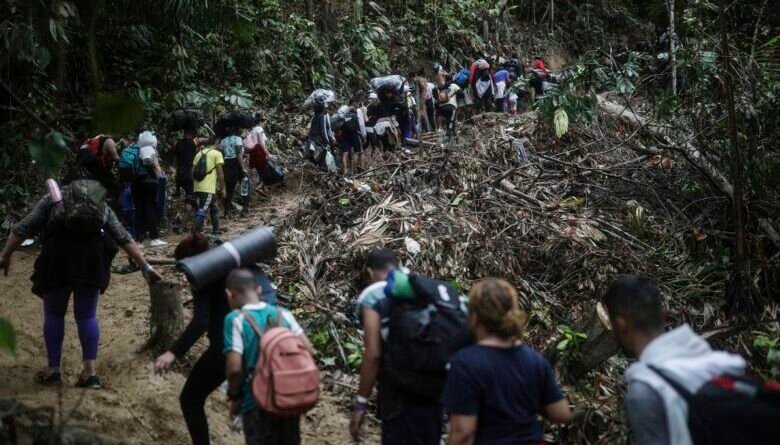 Acnur: El 64 % de los migrantes que han cruzado el Darién en 2024 son venezolanos