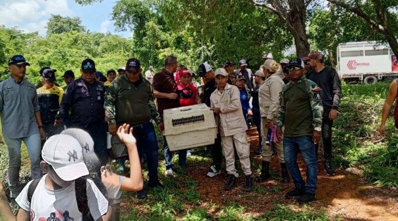 En el Zulia reforestan con 500 árboles áreas degradadas del Parque de Recreación Burro Negro