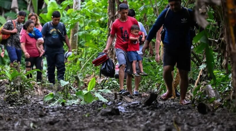 Disminuye en un 40% la migración irregular a Panamá a través del Darién en 2024