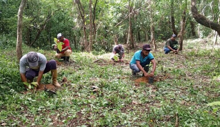 Conare Zulia impulsa reforestación con cacao en Burro Negro para preservar el agua y la vida