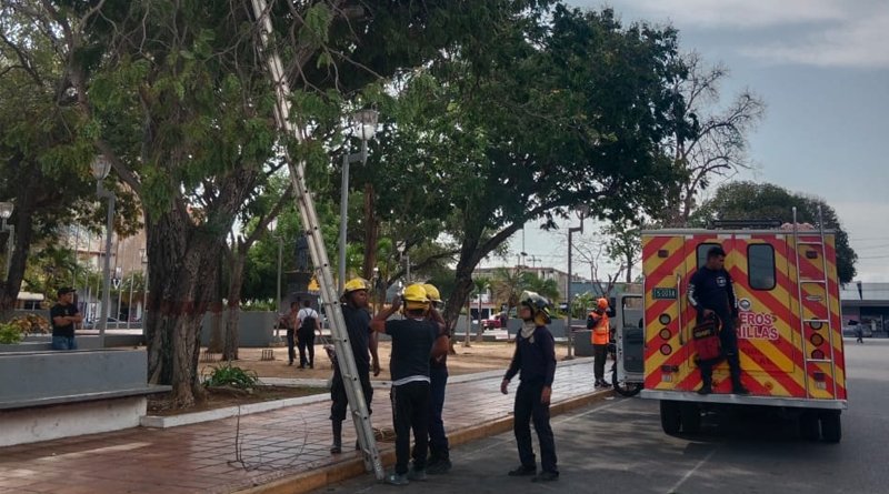 Alcaldía de Lagunillas despliega operativo tras vientos huracanados