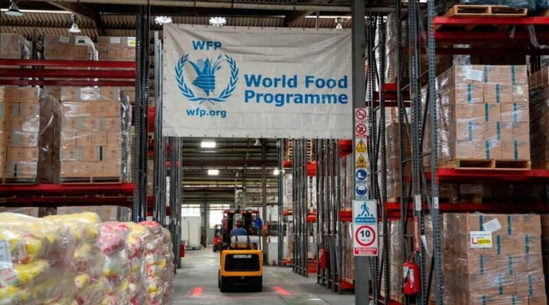 PMA reduce a la mitad su programa de alimentación escolar en Venezuela por falta de fondos