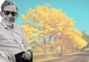 Crónica perdida: El Hombre Cero, Por Edinson Martínez