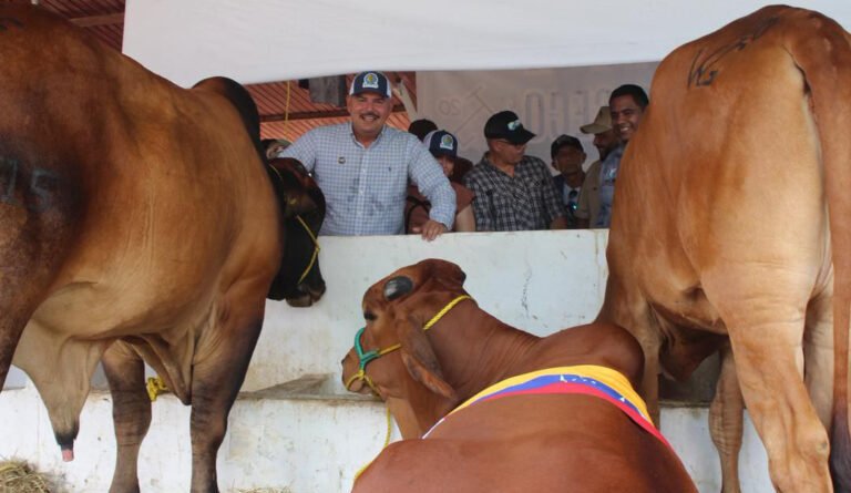 Feria Ganadera de Rosario de Perijá destaca el potencial productivo de Venezuela
