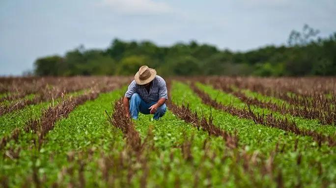 BID alerta que el estancamiento agrícola en América Latina amenaza la seguridad alimentaria