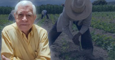 Trabajadores agrícolas en Venezuela: derechos, regulación y desafíos según la LOTTT