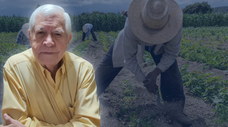 Trabajadores agrícolas en Venezuela: derechos, regulación y desafíos según la LOTTT